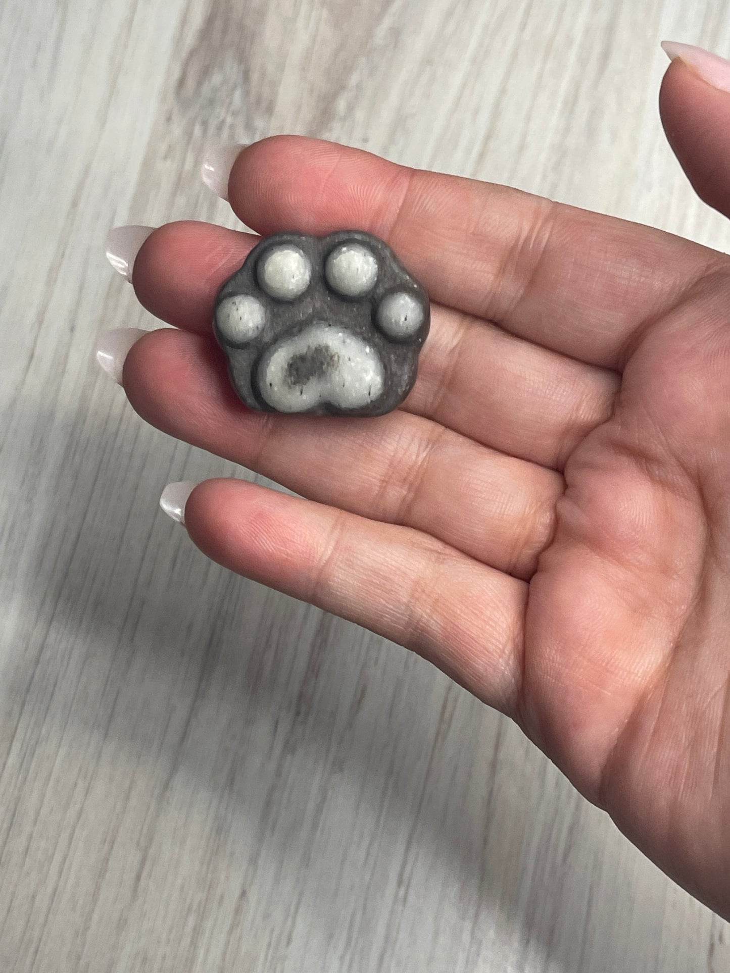 Pet Paw Worry Stones