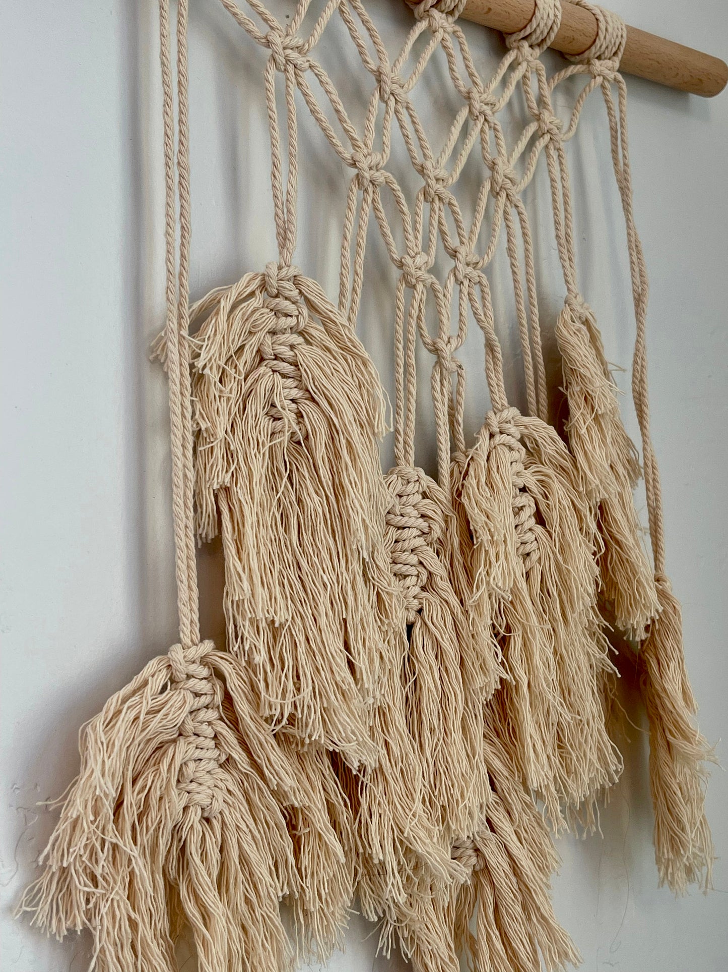 Ivy Macrame Wall Hang