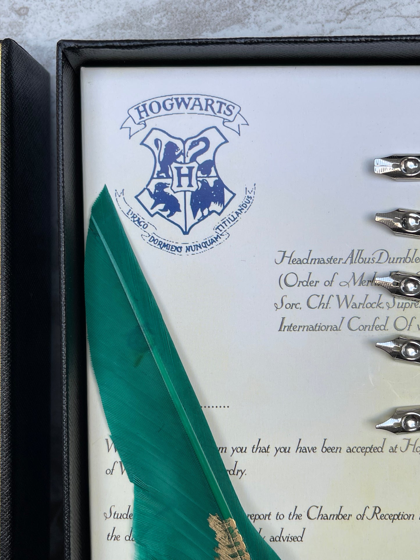 Harry Potter Feather Pen