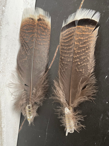 Smudging Tail Feathers Wire Wrapped with Crystals